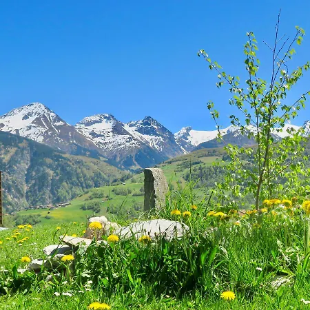 Casa Segnas * Disentis