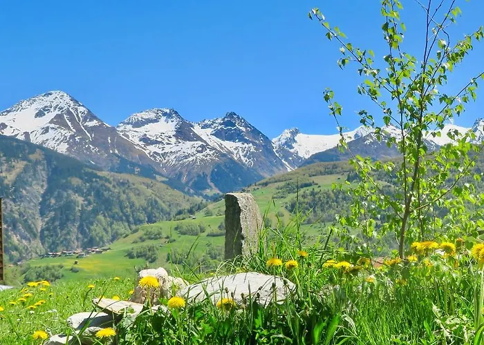 Casa Segnas * Disentis