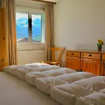 Appartement Casa Segnas Disentis
